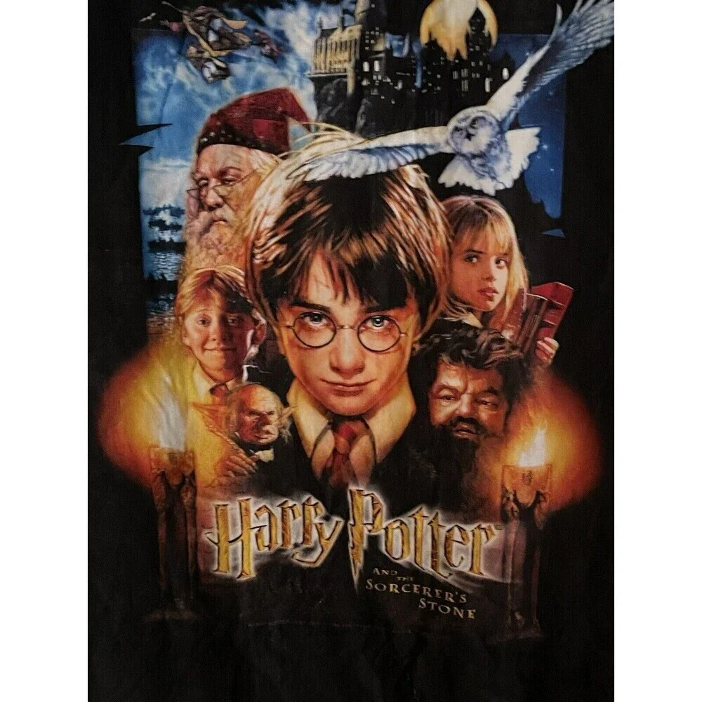 Wizarding World Of Harry Potter this harry